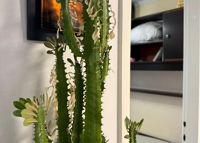 New Serenity, Luxury Sea View