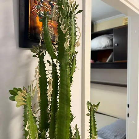 New Serenity, Luxury Sea View